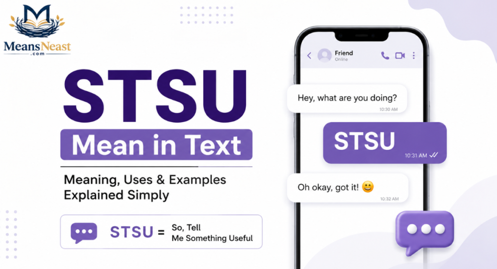 STSU Mean in Text