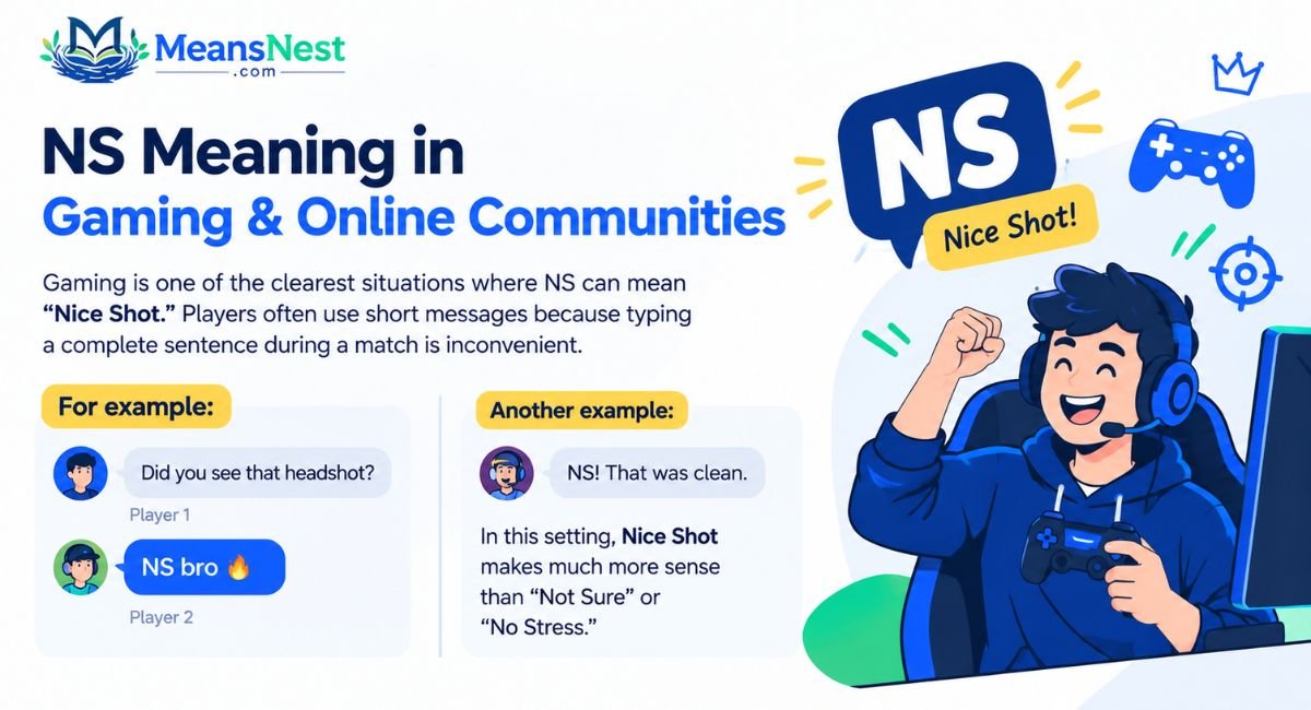 NS Meaning in Gaming & Online Communities