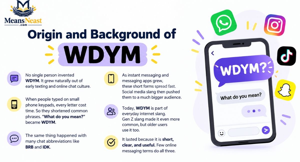origin-and-background-of-wdym Origin and Background of WDYM
